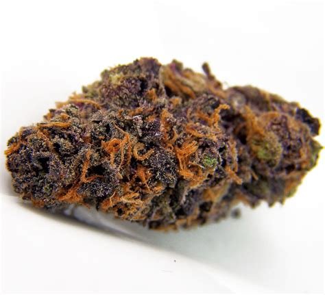 Purple Kush for sale